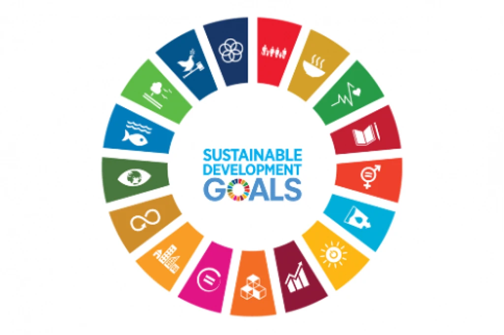The Role of Evertreen in Achieving Sustainable Development Goals
