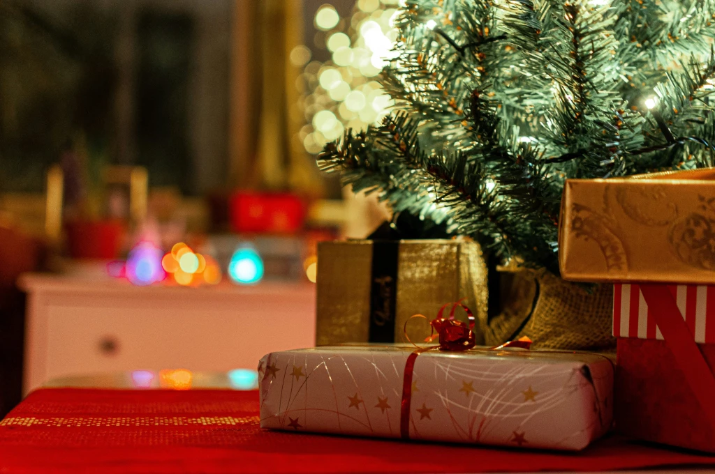 How Evertreen’s Tree Planting Transforms Christmas Gifts into Climate Action