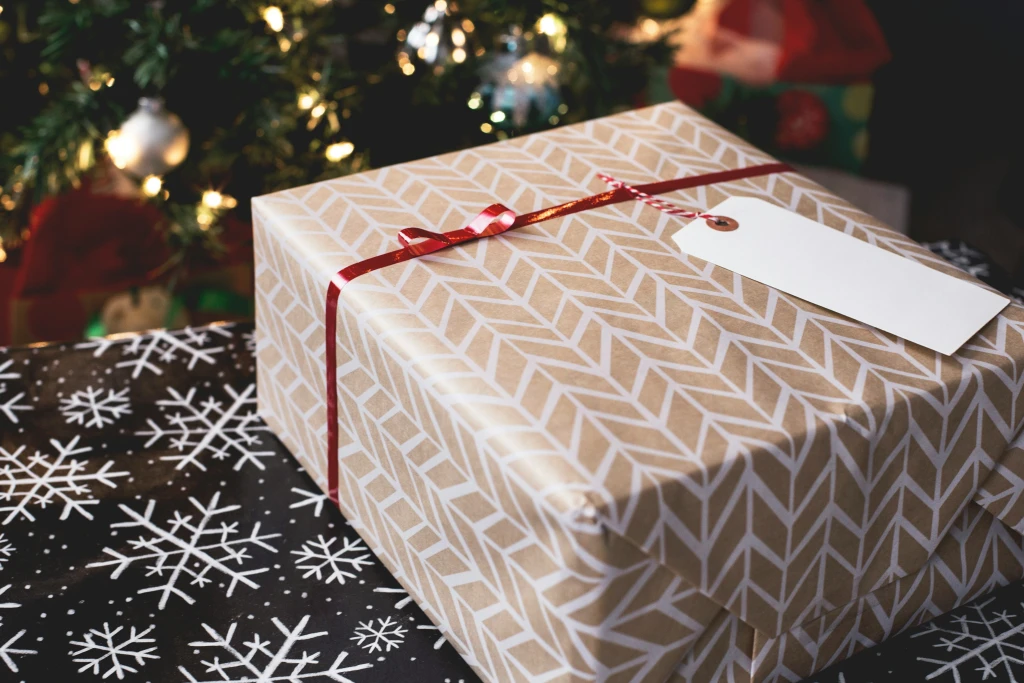 Make This Christmas Greener: Sustainable Gift Ideas with Evertreen