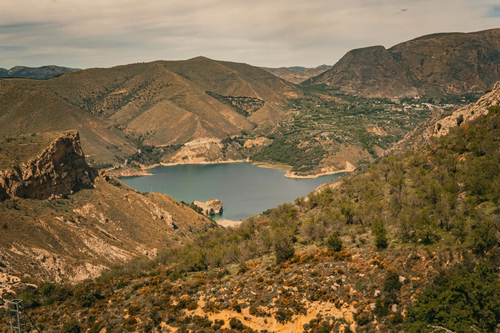 The Vital Role of Spain’s Trees: Evertreen's Commitment to Reforestation