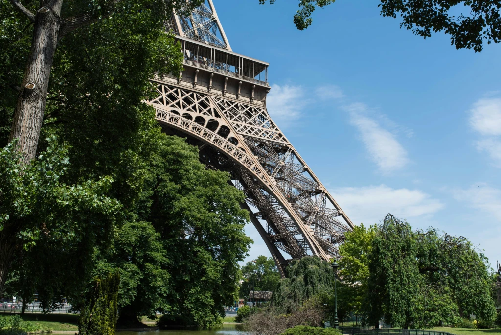 Reforestation in France: How Evertreen is Reviving Forests