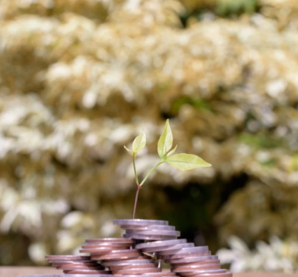 Naturecredits: Funding Real Biodiversity Restoration