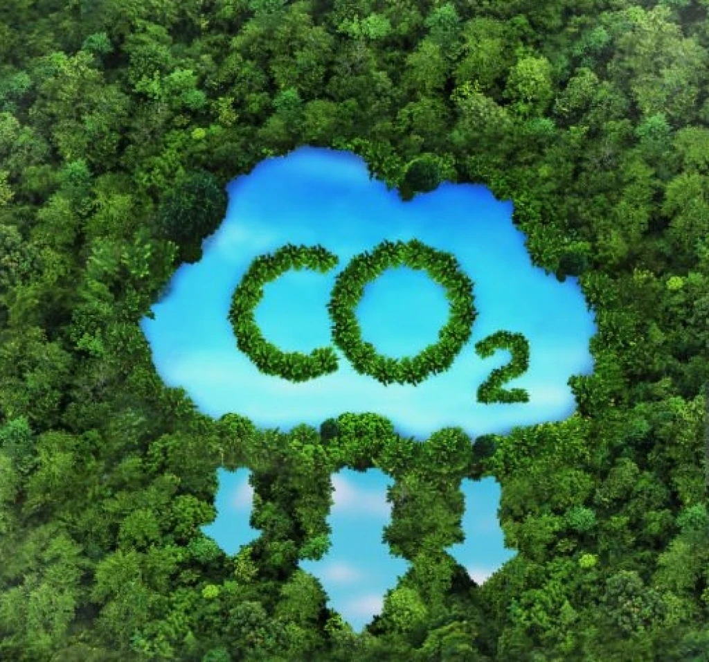 EPA Rollback Threatens Climate Rules, Undermines Restoration Efforts