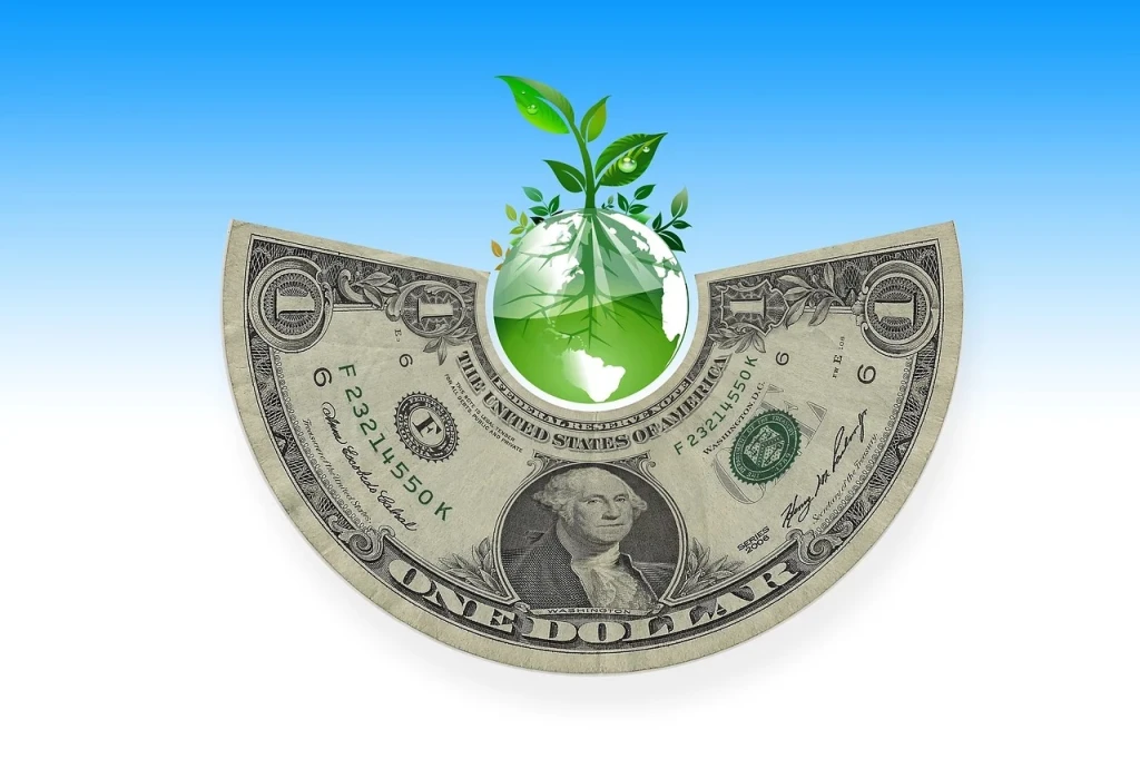 Restoration and Investment: How Rates and Inflation Shape Reforestation