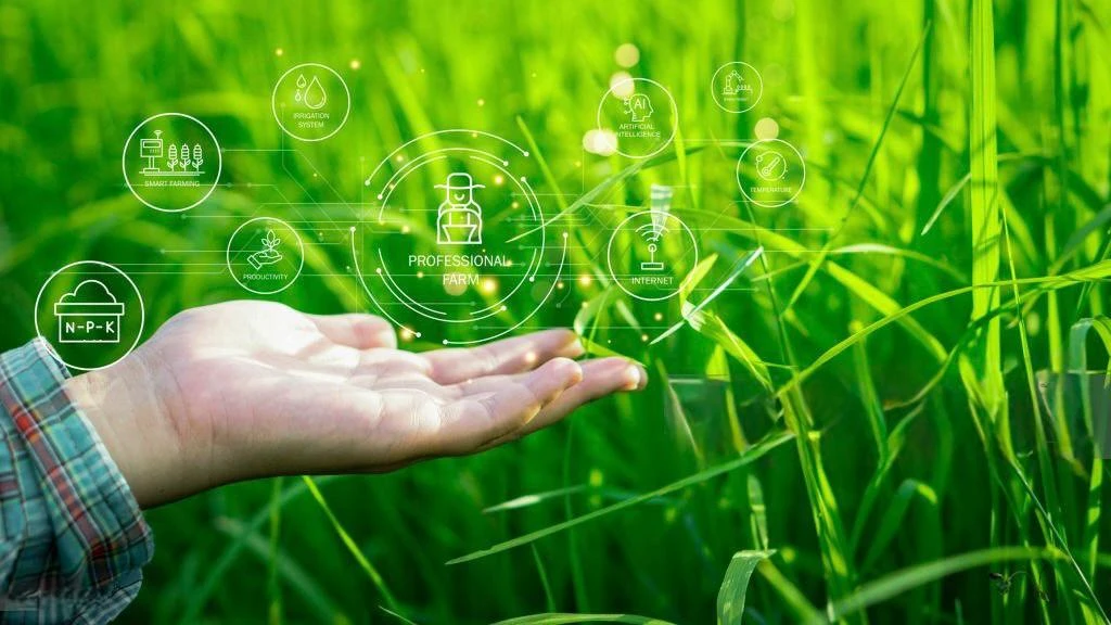 AI Forest Restoration: Smarter Climate Solutions