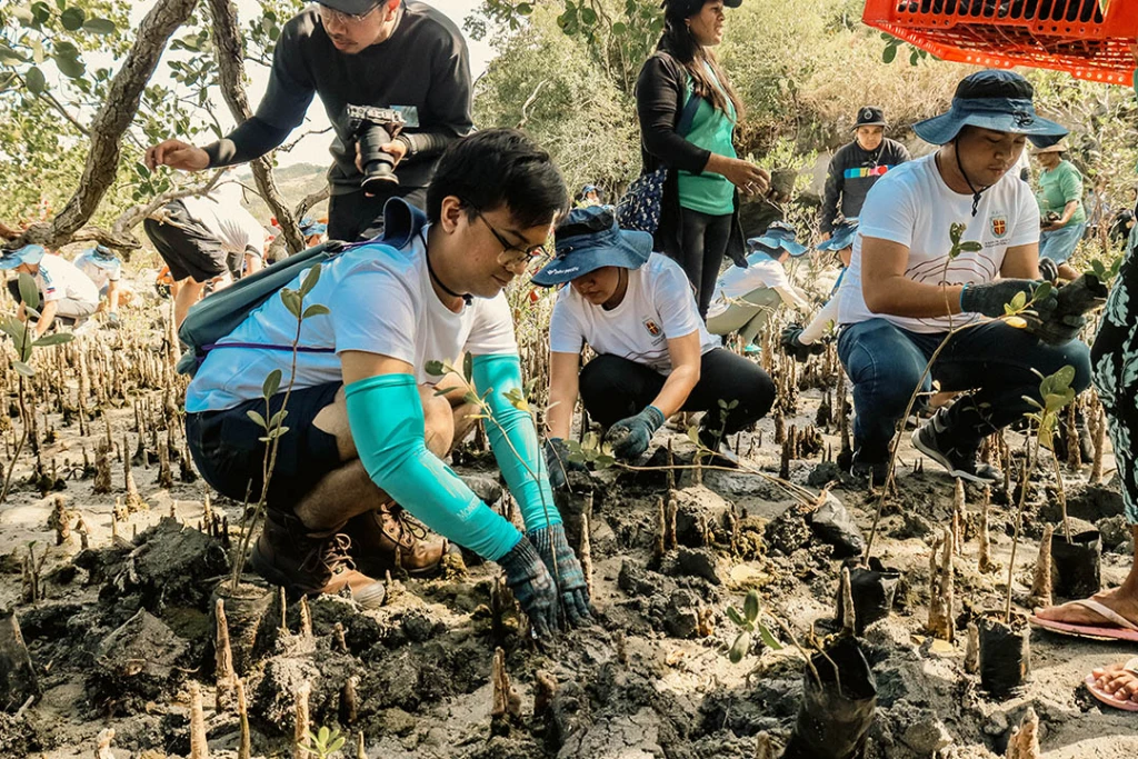 Cebu Earthquake: Environmental Impact and Path to Restoration