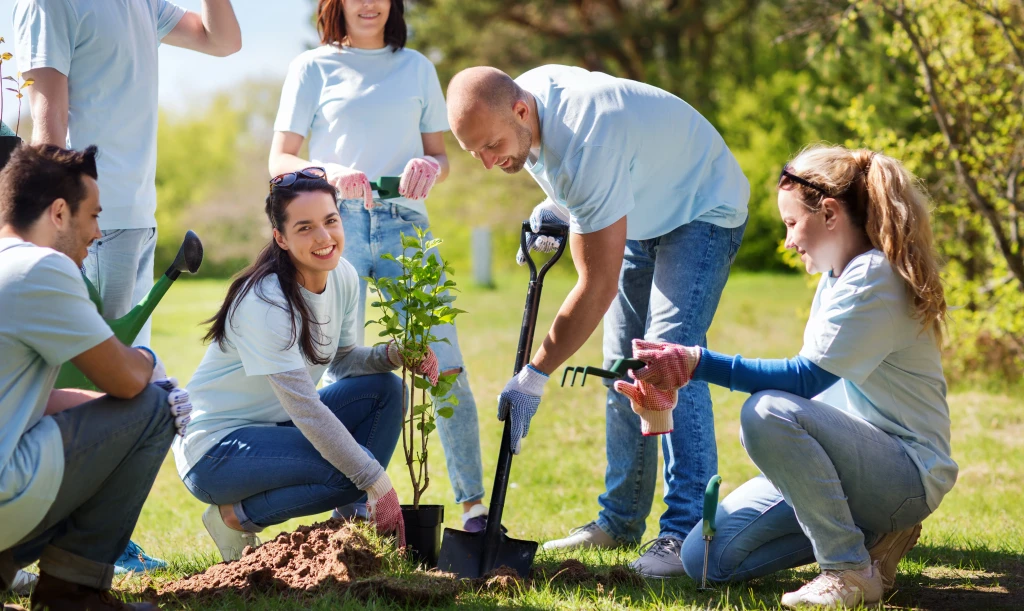 Evertreen: A Smart Way to Boost Your Corporate Sustainability