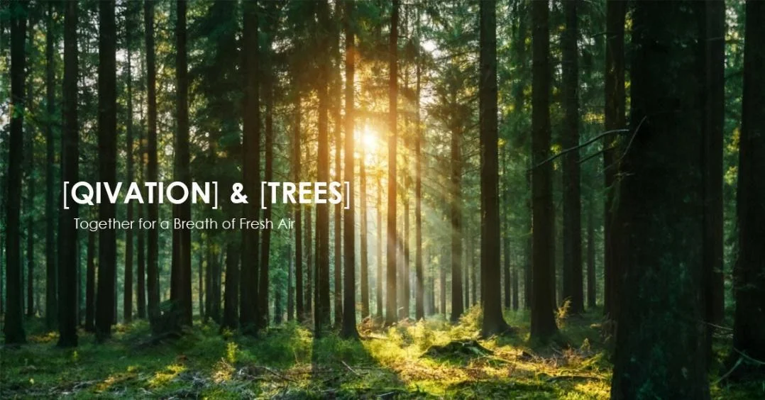 Qivation Partners with Evertreen: One Bottle, One Tree