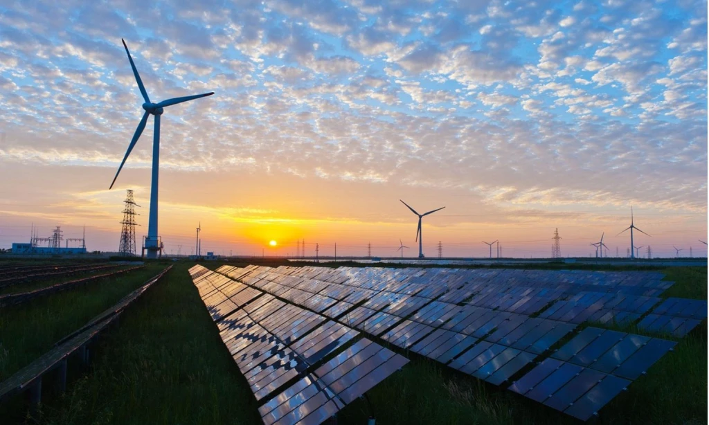 How Much Do Carbon Offsets Cost in 2026?