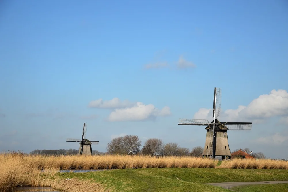 Carbon Offsetting for Small Businesses: A Starter Guide