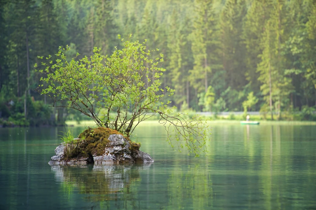 What Is the Carbon Footprint of a Website?