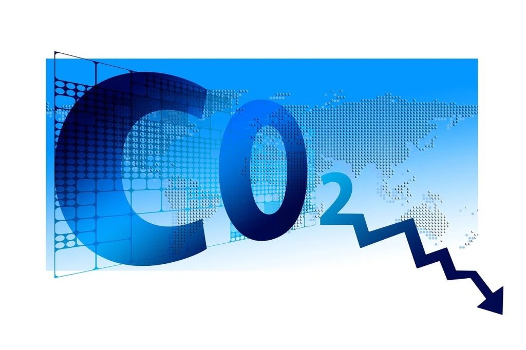 What Is a Carbon Credit? A Plain-English Guide